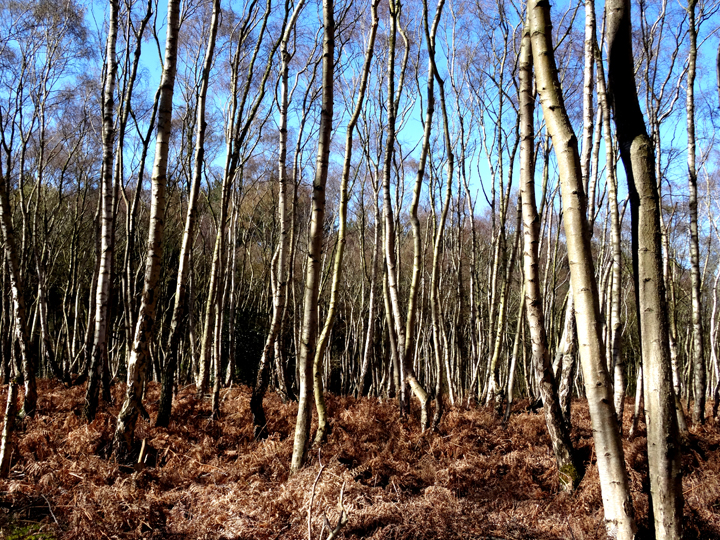 Photo 7 of 7